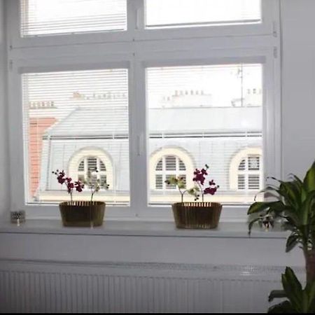 Lenka'S Cozy Red Studio + Lenka'S Cozy Gold Apartment Prága Kültér fotó
