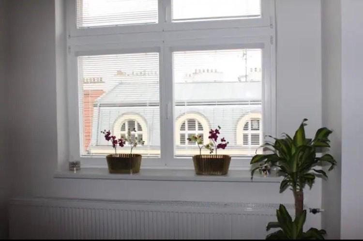Lenka'S Cozy Red Studio + Lenka'S Cozy Gold Apartment Prága Kültér fotó